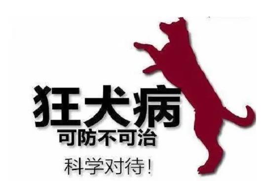 【健康科普】9.28世界狂犬病日：预防狂犬病（一）