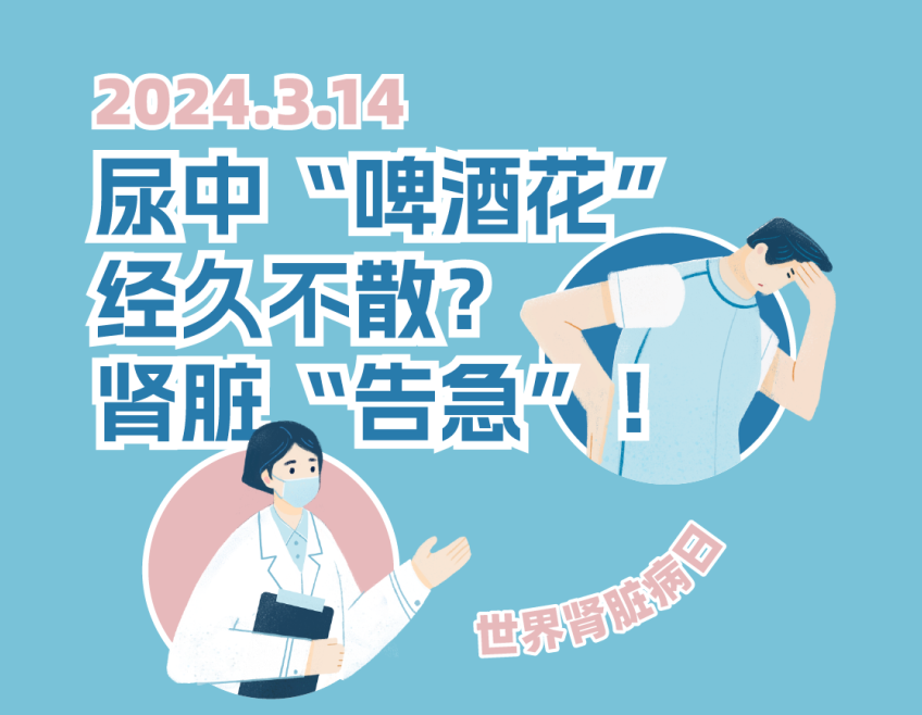 【健康科普】一图读懂：尿中“啤酒花”经久不散，肾脏“告急”