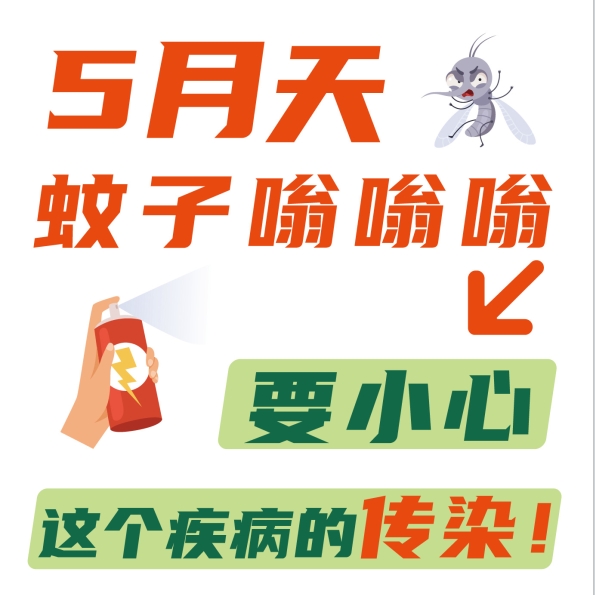 【登革热】5月天，蚊子嗡嗡嗡，要小心这个疾病的传染！