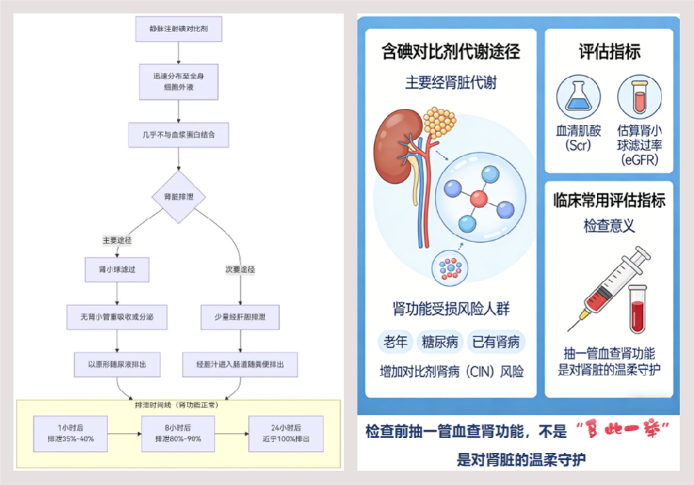 肾功能异常患者能够做增强CT吗