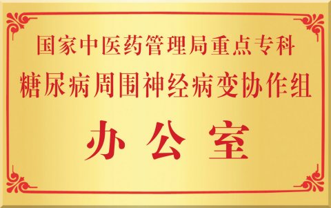 国家“十一五”重点中医糖尿病周围神经病变协作组组长单位